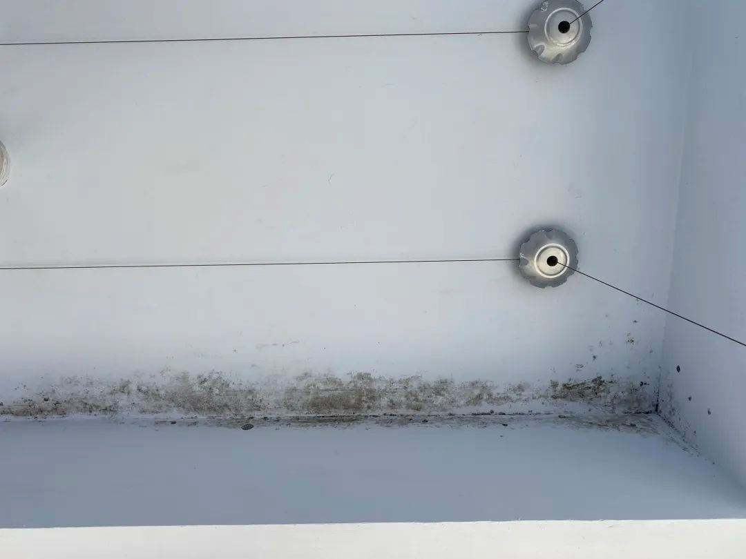 家住顶楼漏水严重，申请维修资金迟迟未果！ 