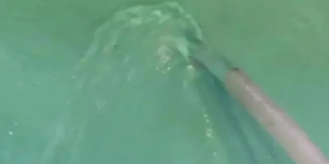 别再这么做，小心“毁掉”防水层