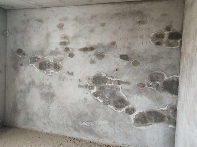 内外墙渗漏发霉怎么办？墙面发霉渗漏防水防霉涂料推荐