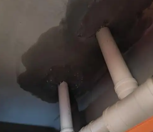 房子厕所漏水解决全攻略