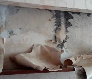 家里墙面渗水发霉防水补漏施工详解