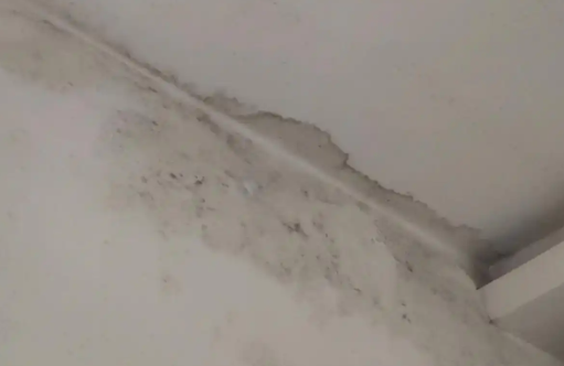 墙面油漆脱落、起皮、发黄、渗水？别让“面子”毁了“里子”！