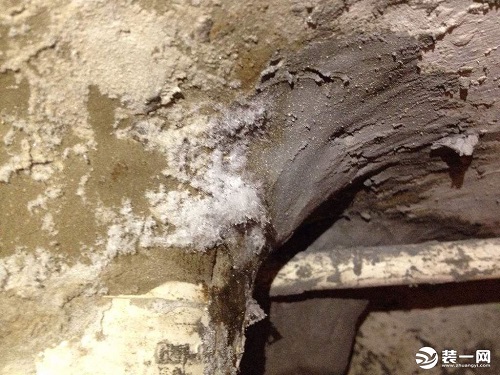堵漏王是什么?堵漏王的正确使用方法及价格介绍