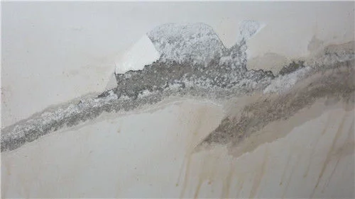 墙面渗水防水补漏施工注意事项 原来开裂渗水的原因在这里