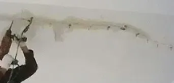 堵漏比防水更难,需要丰富的经验积累